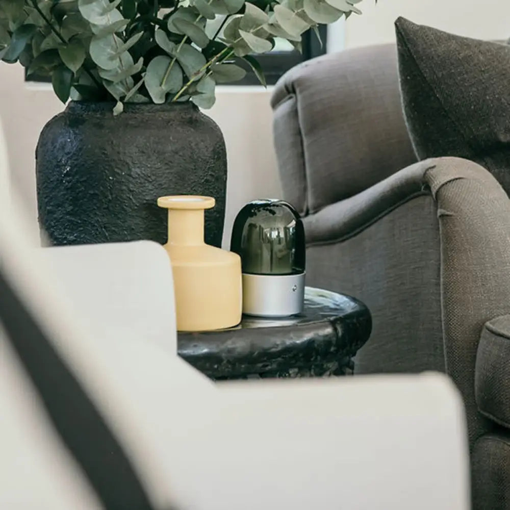 Dark gray textured vase with green leafy branches for Roma Elegance Electric aroma diffuser